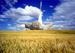 wheat and rocket